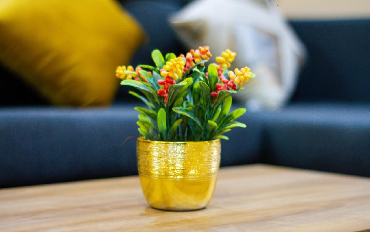 Apartamentos Michael بالينكو المظهر الخارجي الصورة